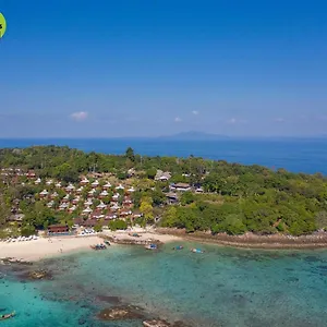 The Phi Phi Adaları